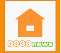 Dogo News | Employee Support Website